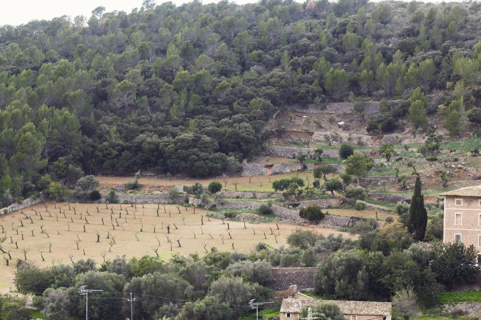 Es Corte Vell - Inland Bunyola - Adults Only