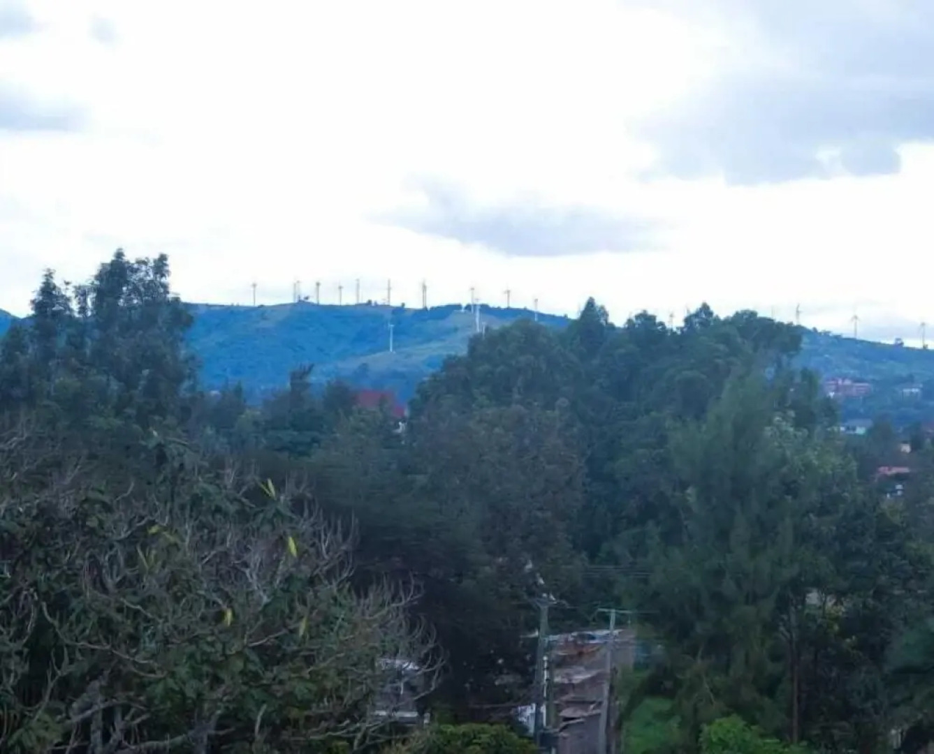 Stay.Plus Makey Cozy Homes