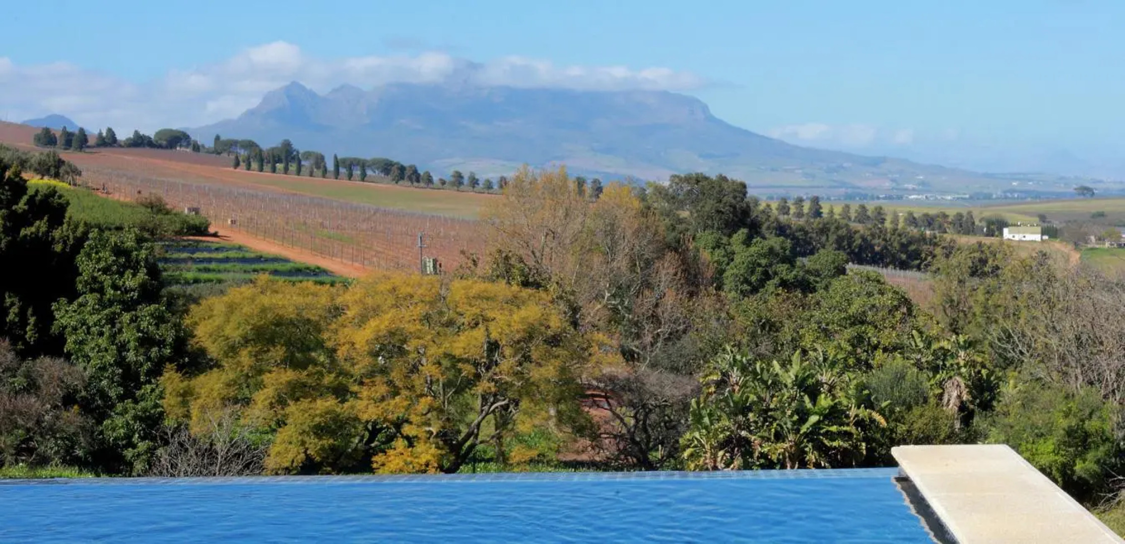 Sugarbird Manor at Protea Heights Farm
