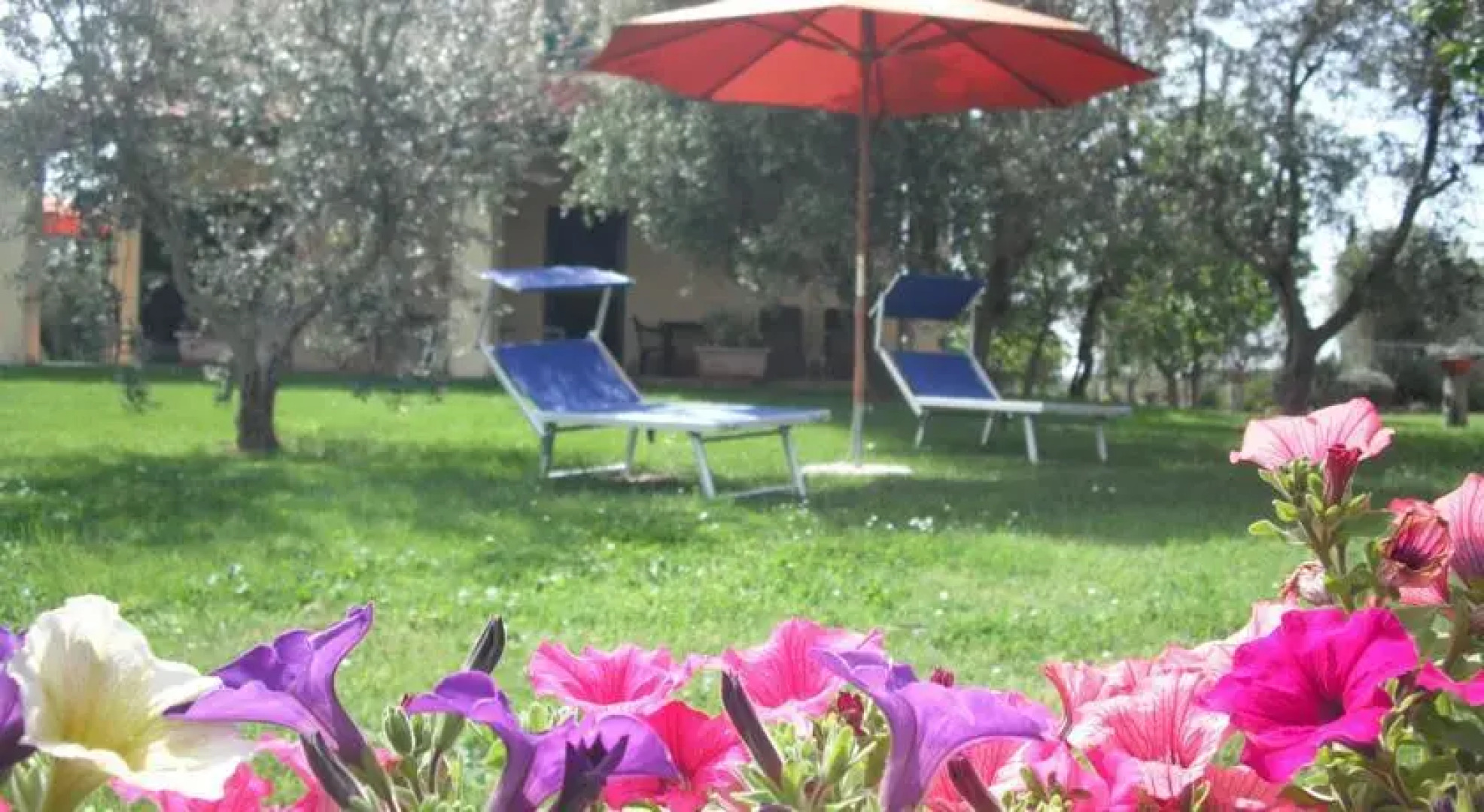 Agriturismo Le Macine