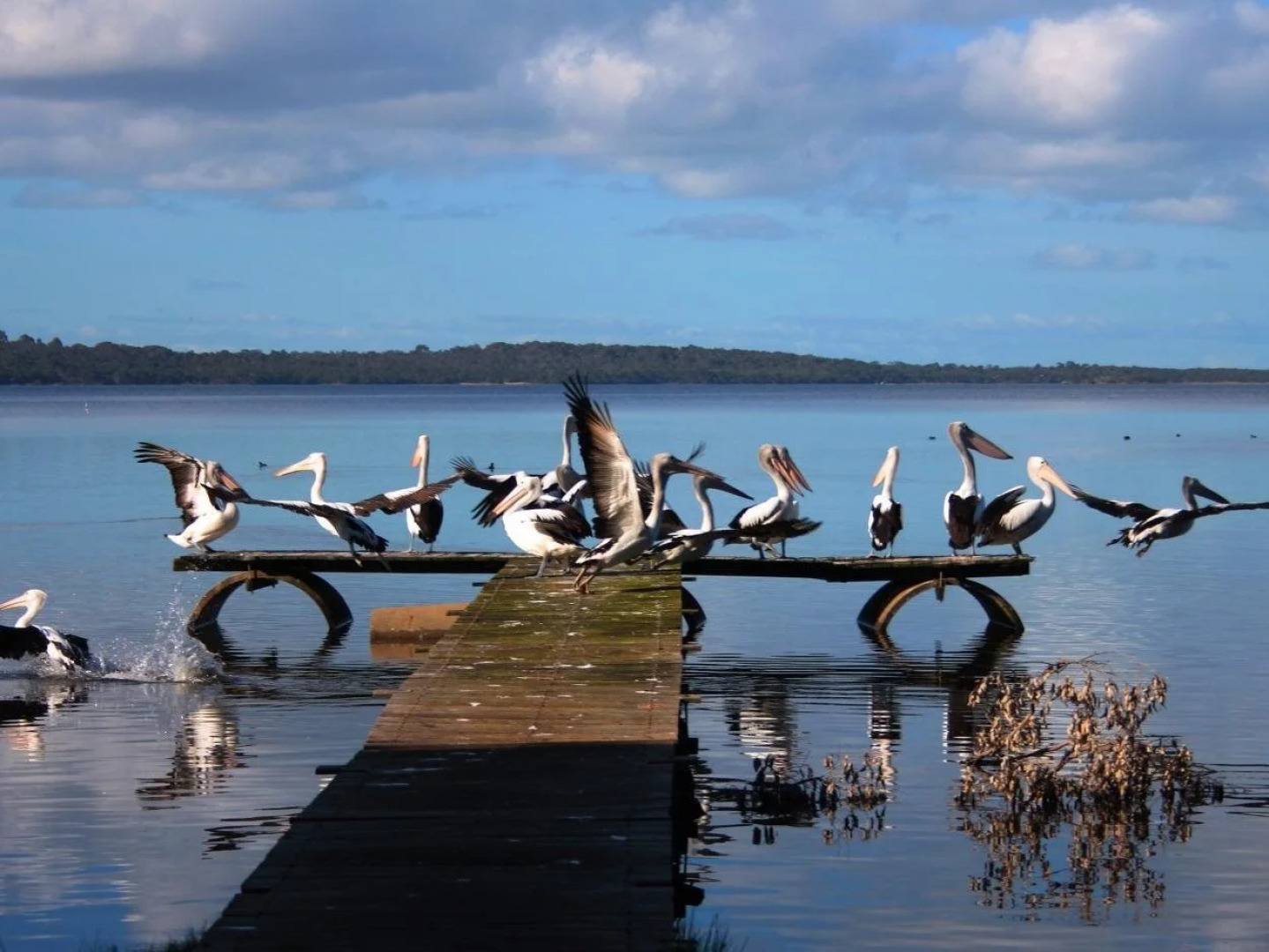 Misty Valley Country Cottages
