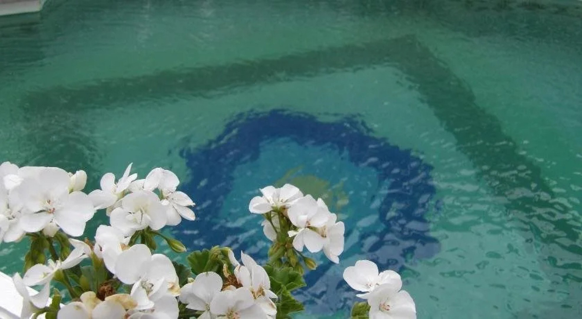 Hotel Palacio Doñana