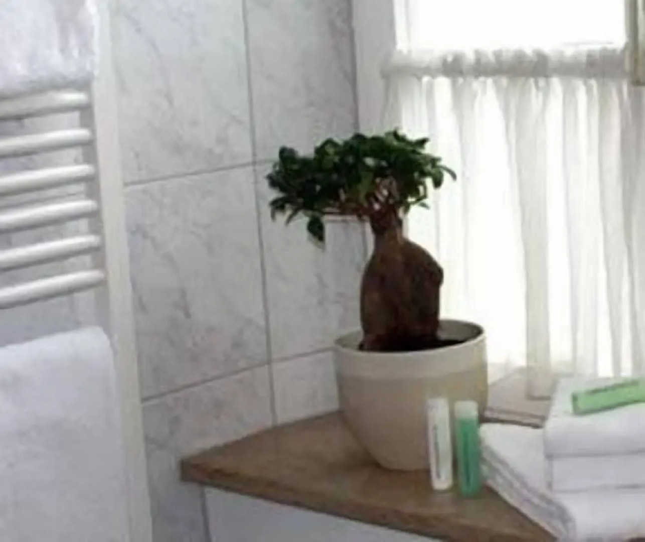 Hotel Schwarzacher Hof