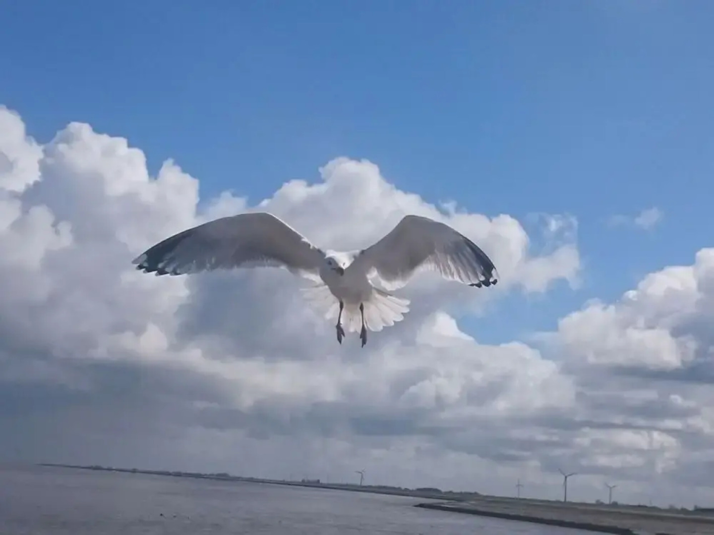 Dyke Space 50 m to the Beach sea