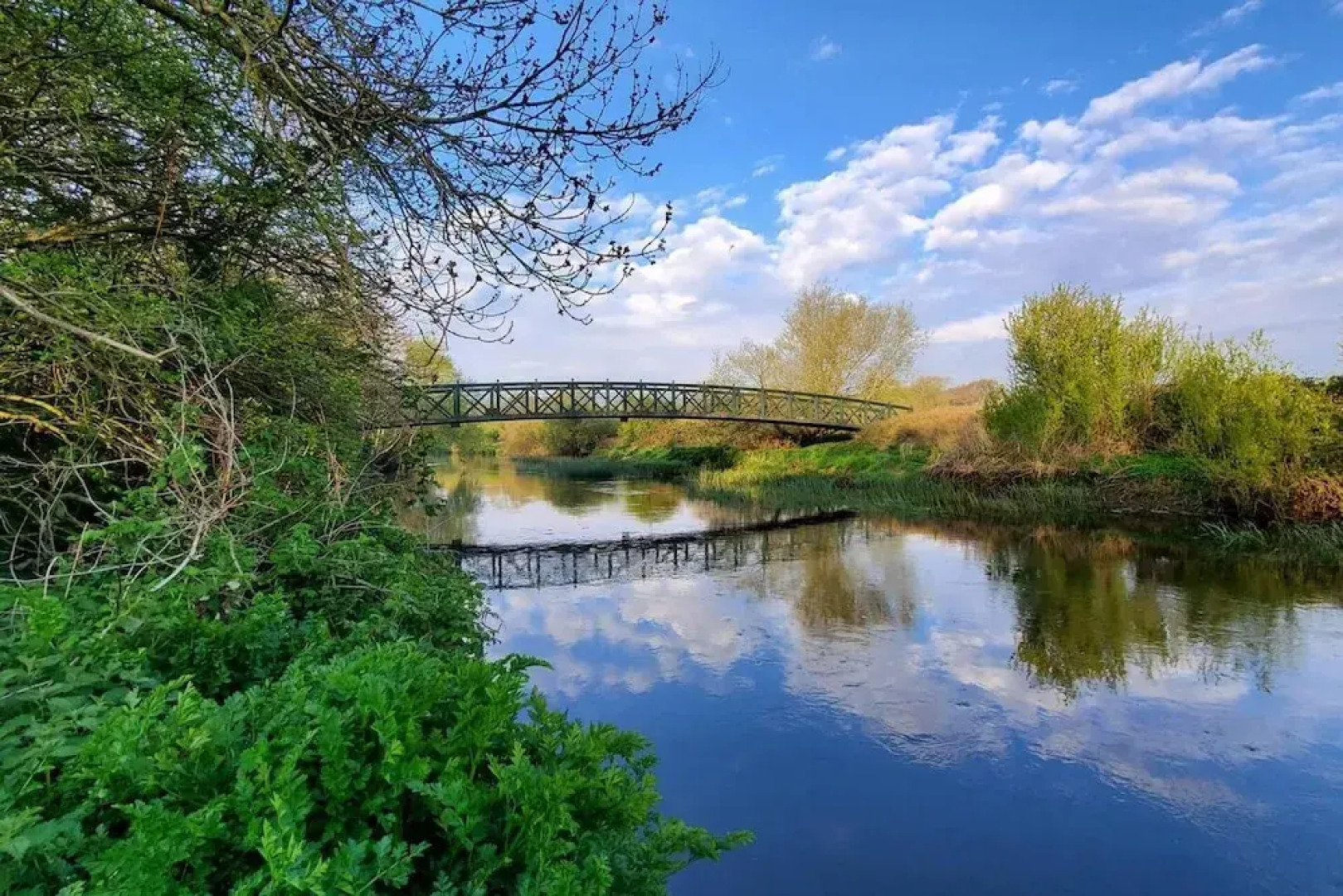 The Cedarwoods - Luxury Studio for 5!