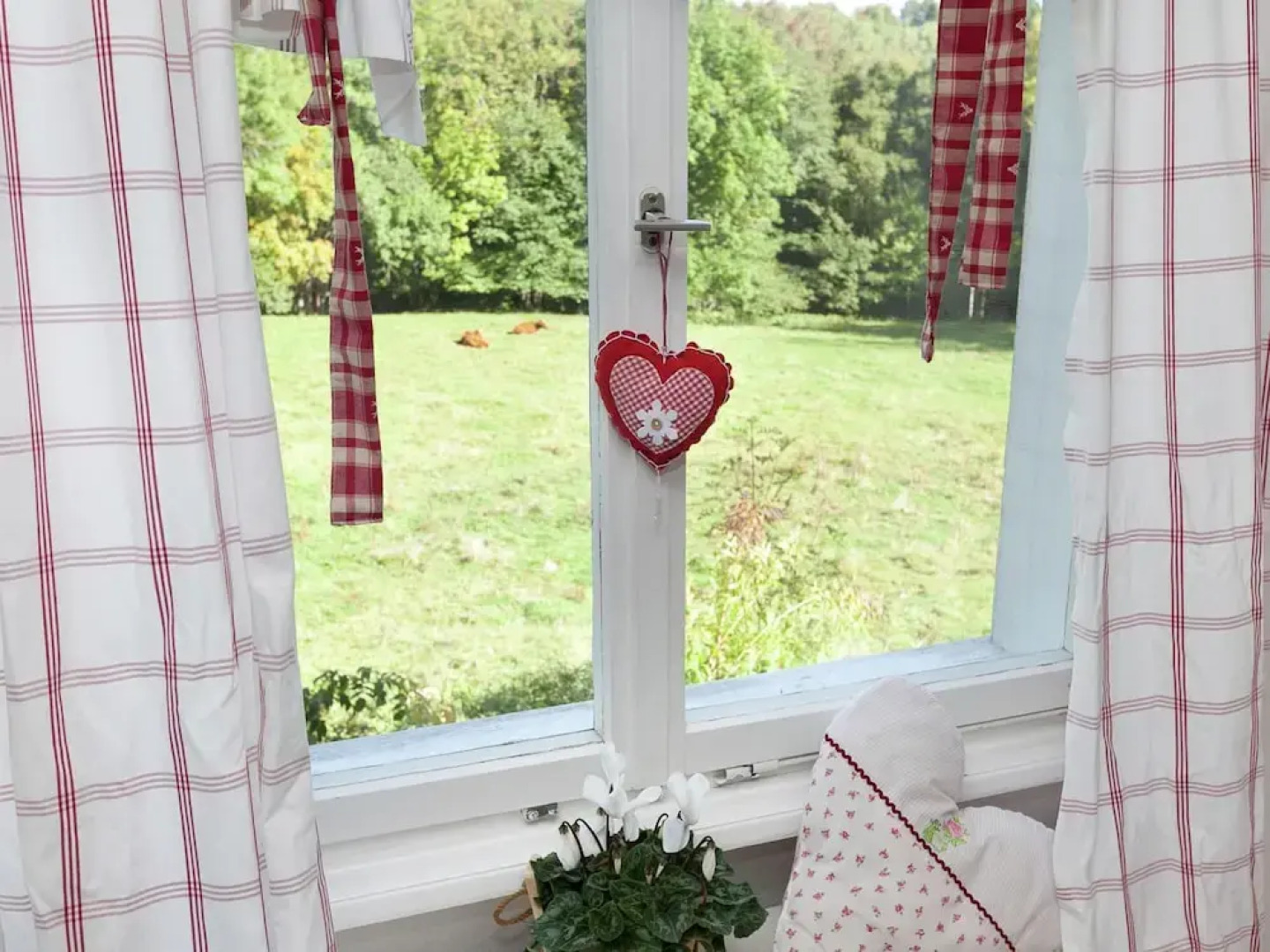 Ferienhaus in Wittenschwand