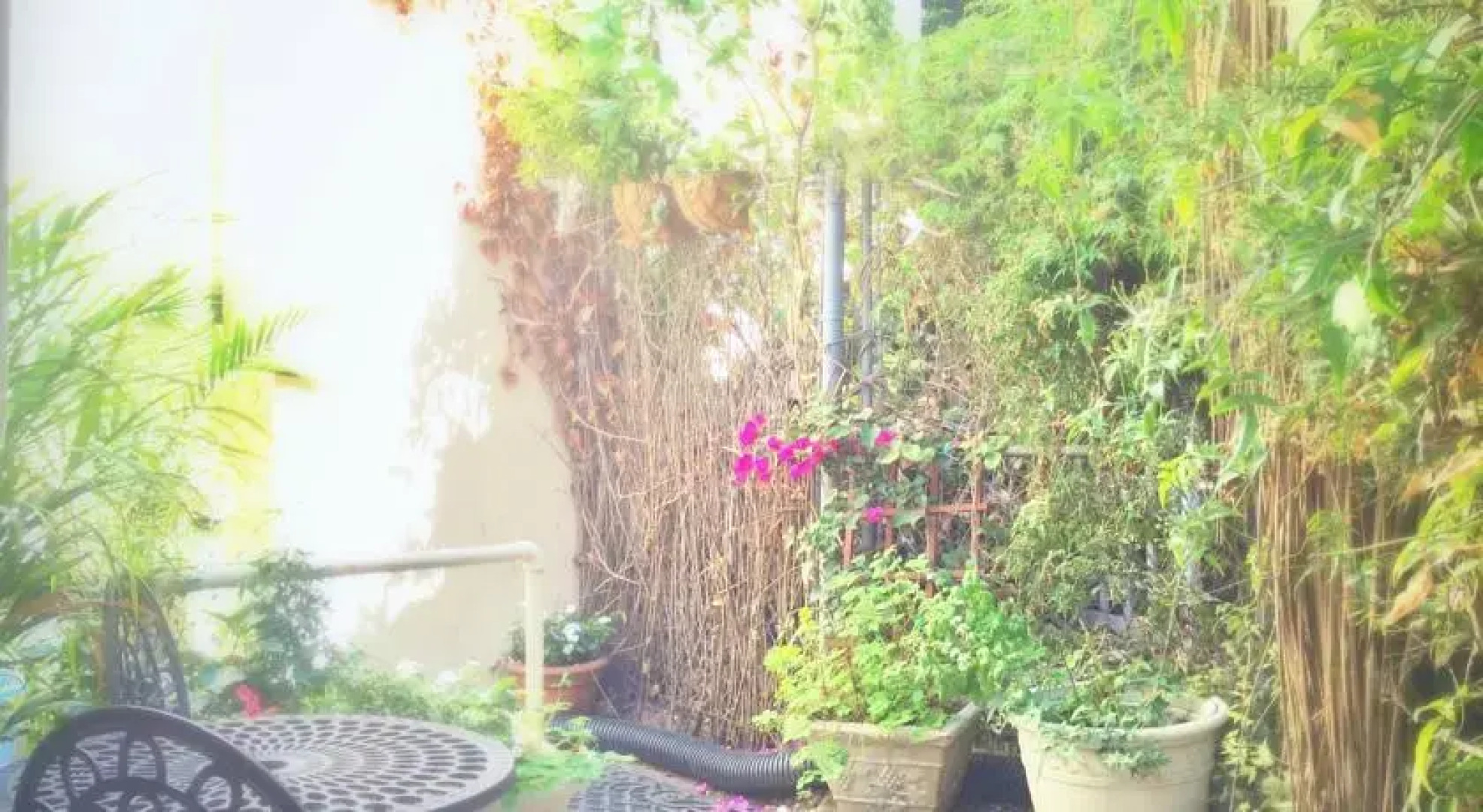 Claremont Court House