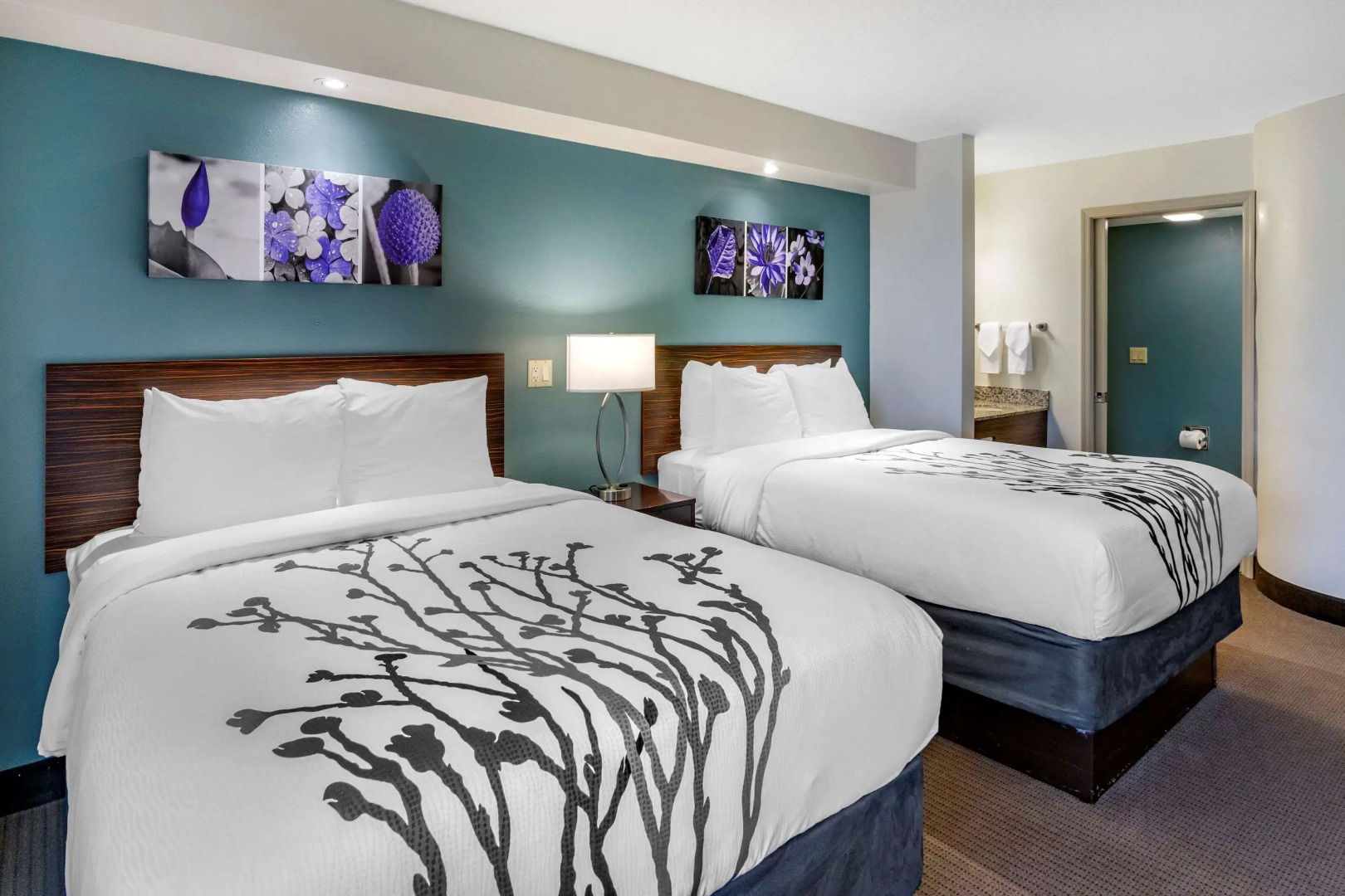 Sleep Inn Clearwater - St Petersburg