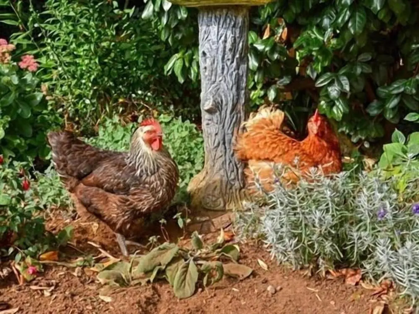 The White Horse View B&B