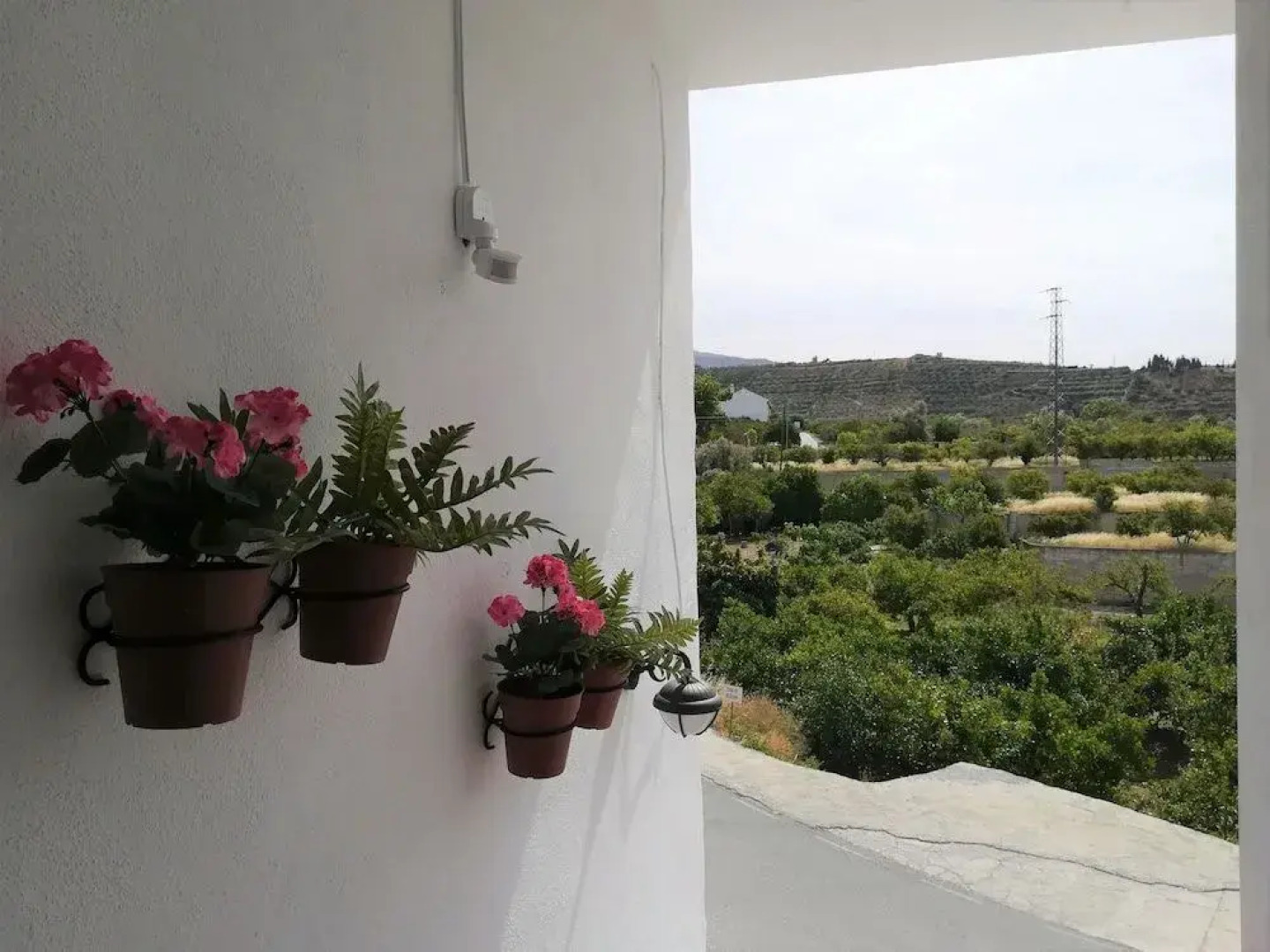 Hostal y Apartamento Rural Los Naranjos