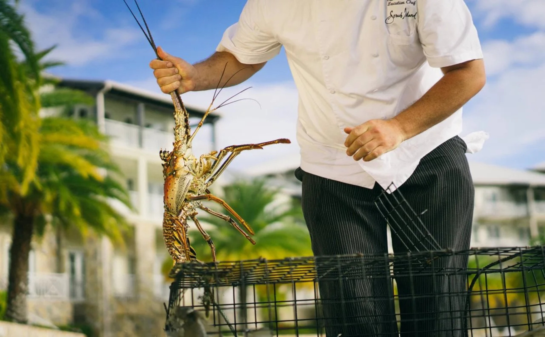 Scrub Island Resort, Spa & Marina