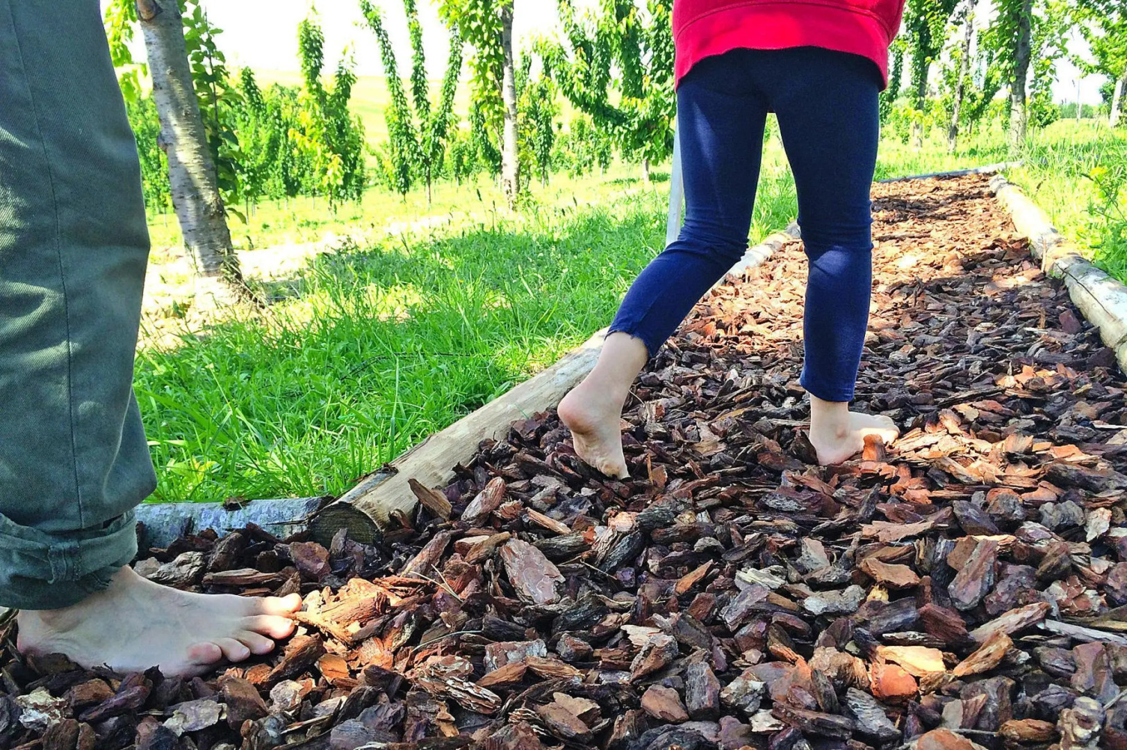 Holiday Resort Contea dei Ciliegi Pedaso