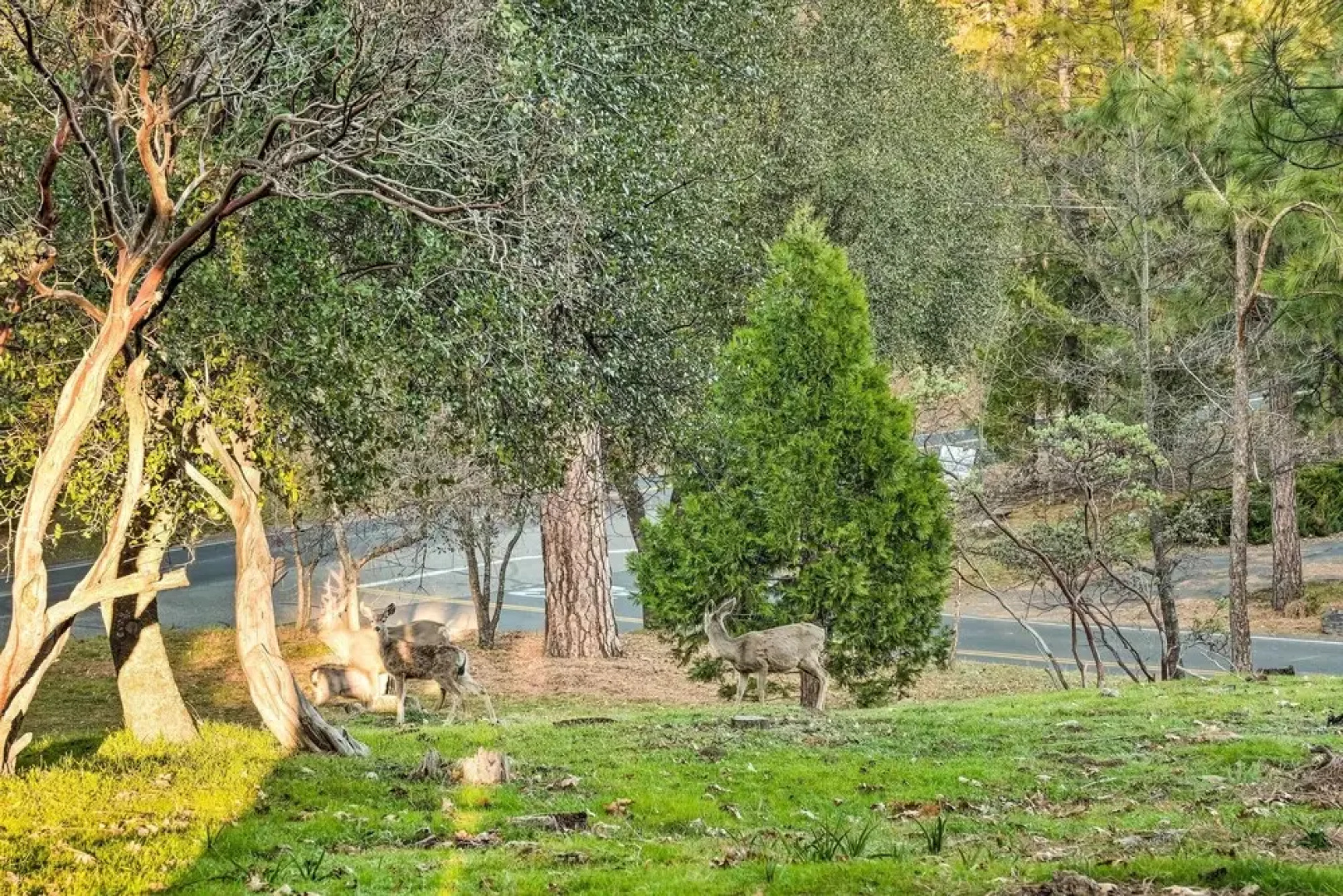 Lakeside Groveland Home w/ Hot Tub, Near Yosemite