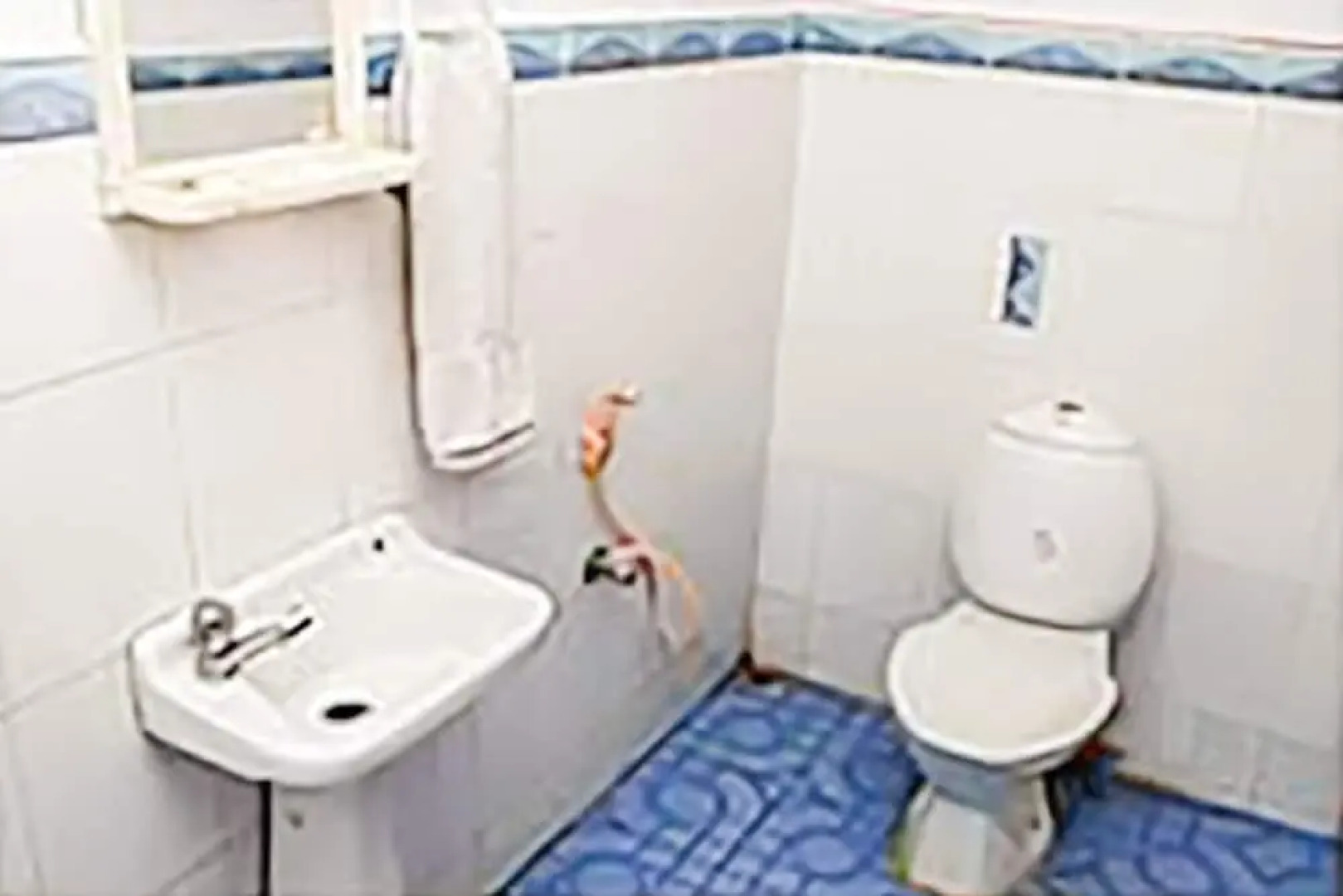 GuestHouser 3 BHK Houseboat e567