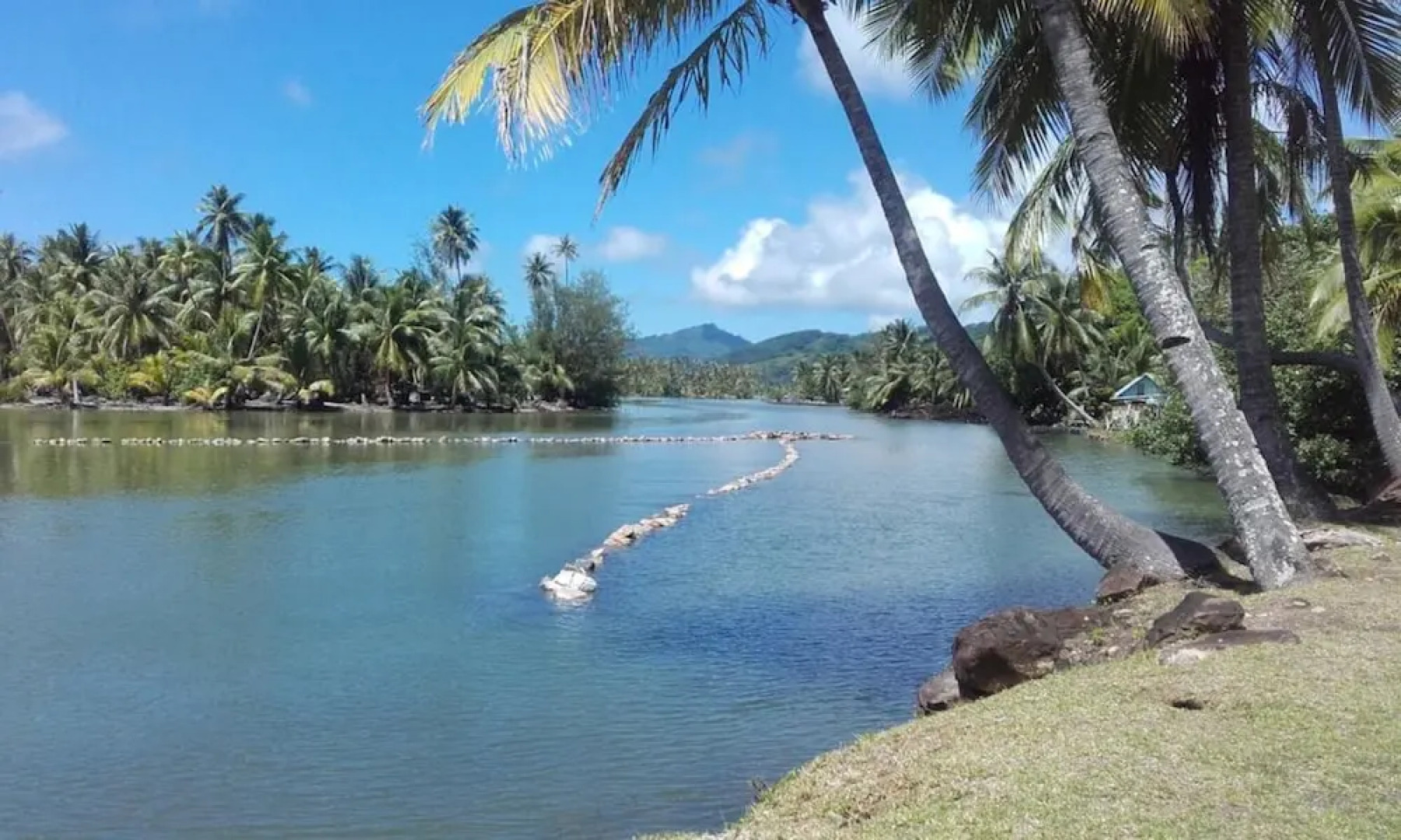 B&B Nature Song Island