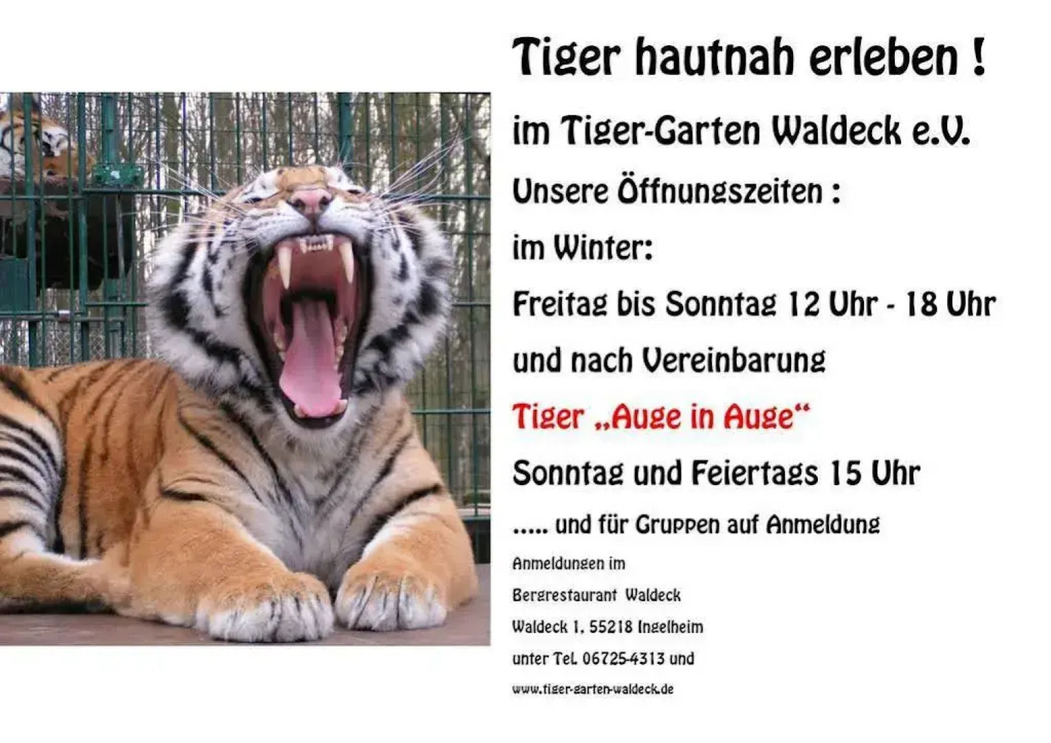 Pension im Bergrestaurant Waldeck