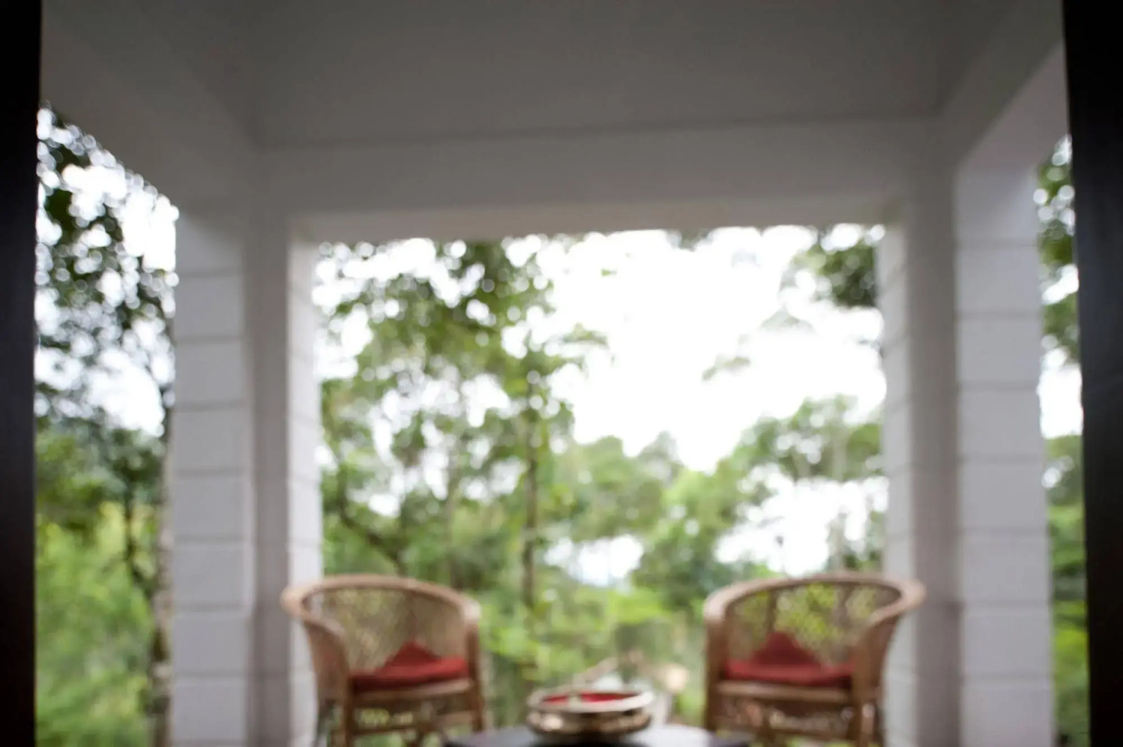 Niraamaya Retreats Cardamom Club