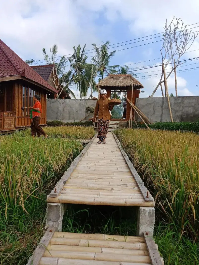 Ubud Sawah Homestay