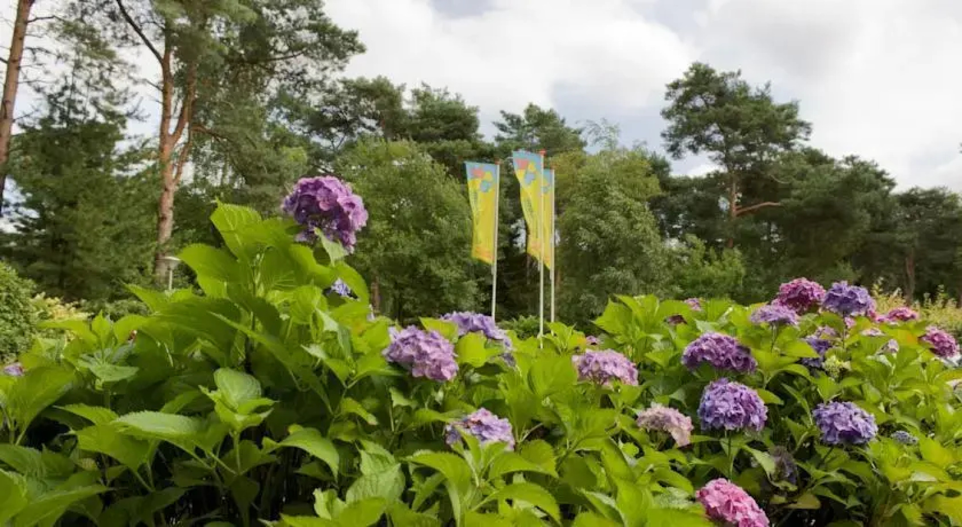 Vakantiepark De Reebok