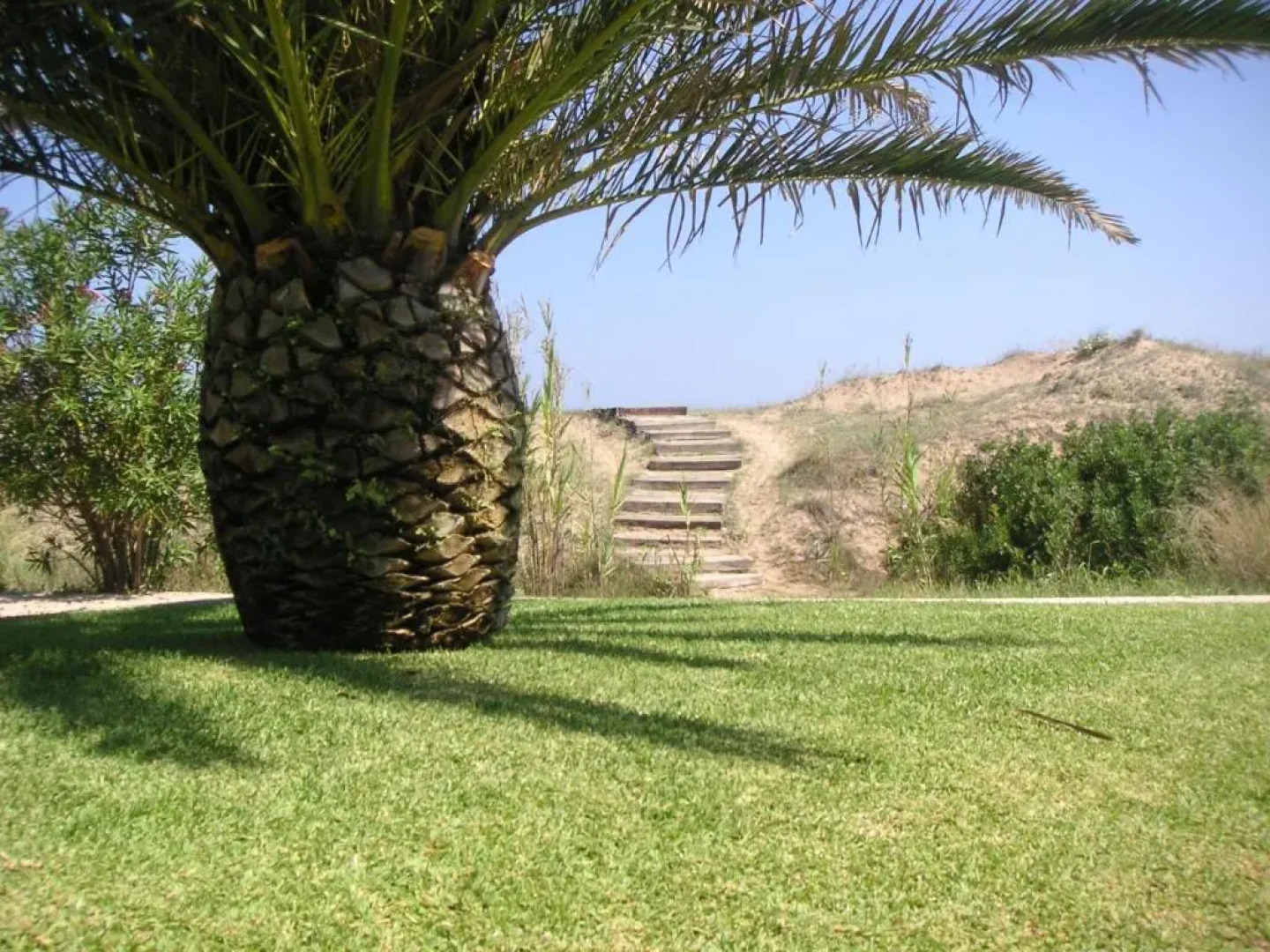 Frente al Mar - Velazquez