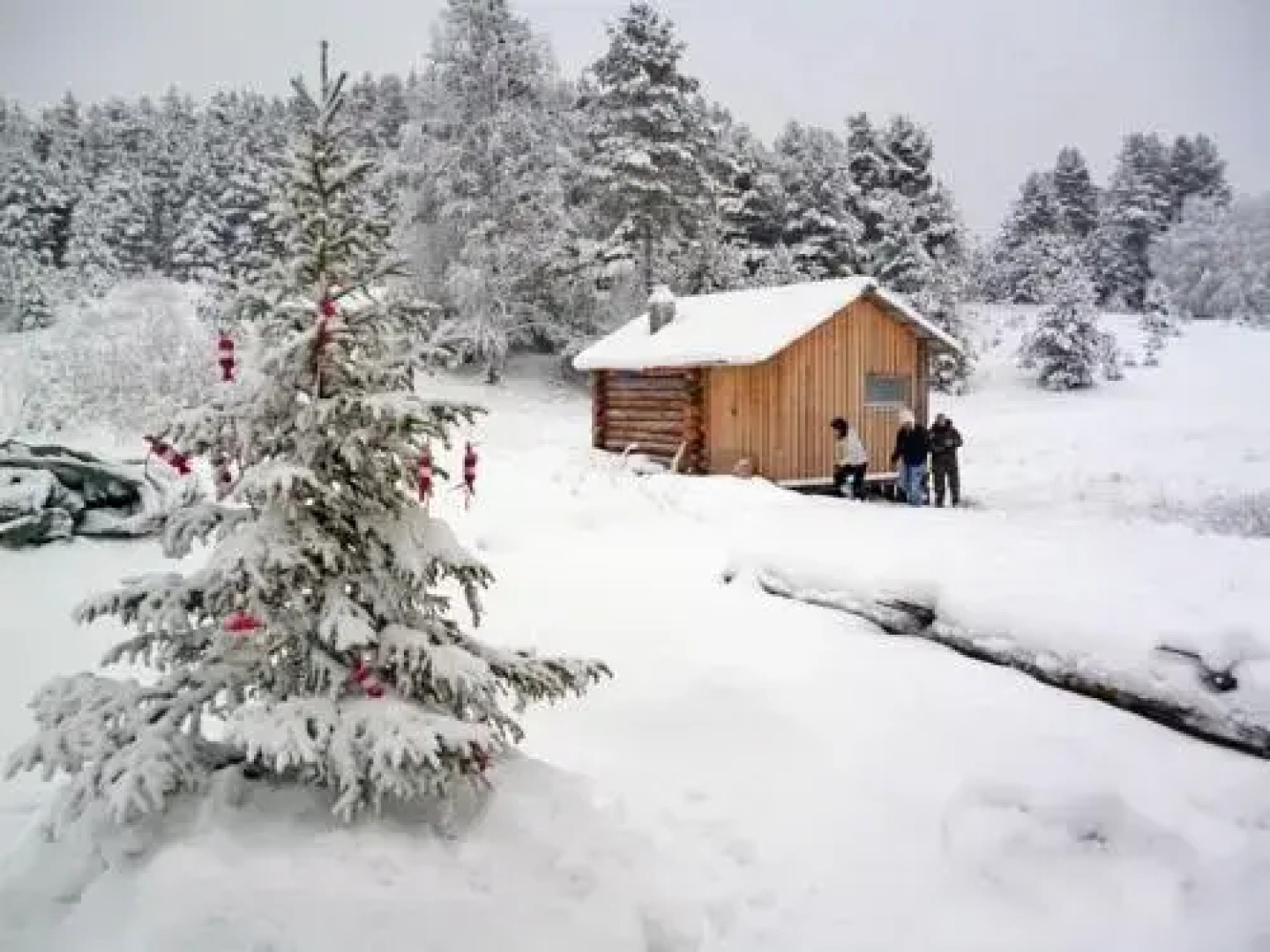 Guest House Tungozero