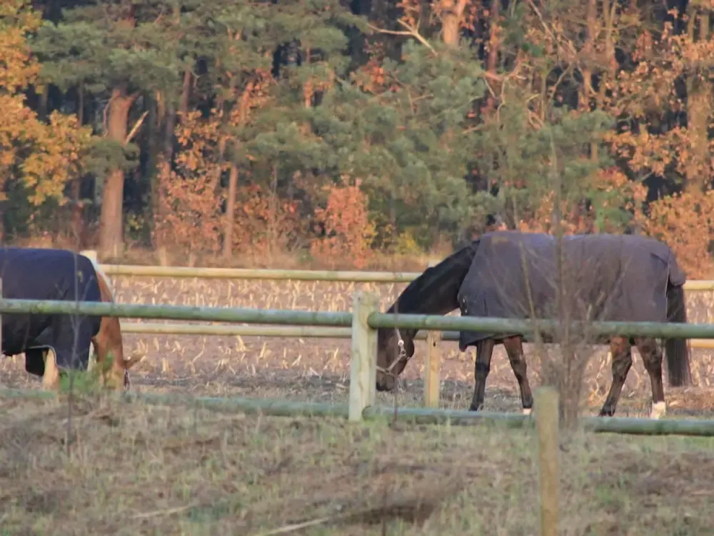 Semi-detached House With a Dishwasher, at 9 km van Slagharen