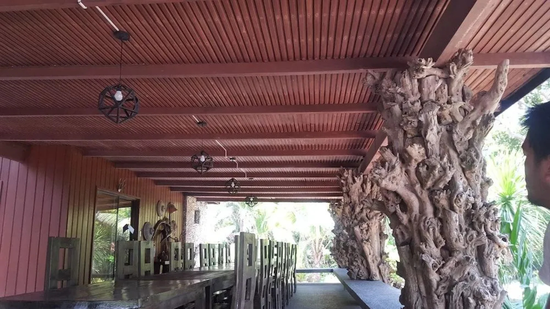 The Pelicans Castaway