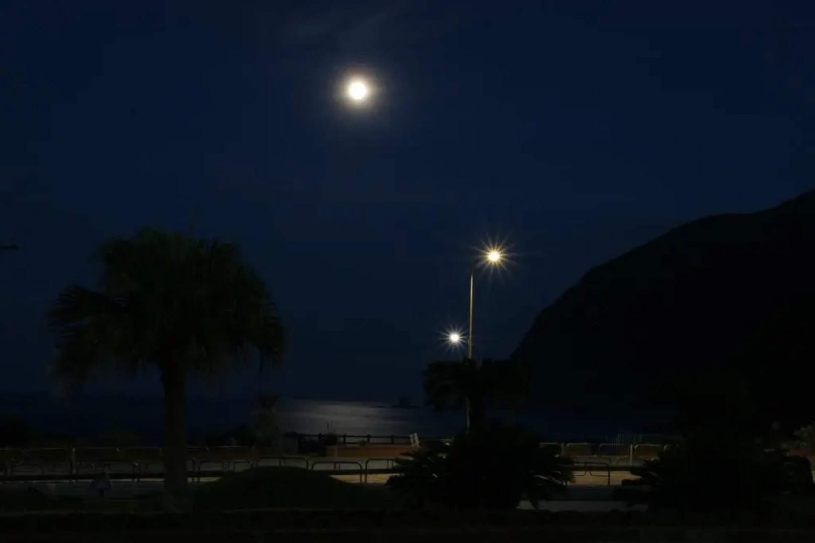 SEADIVE Dormitory - Hostel