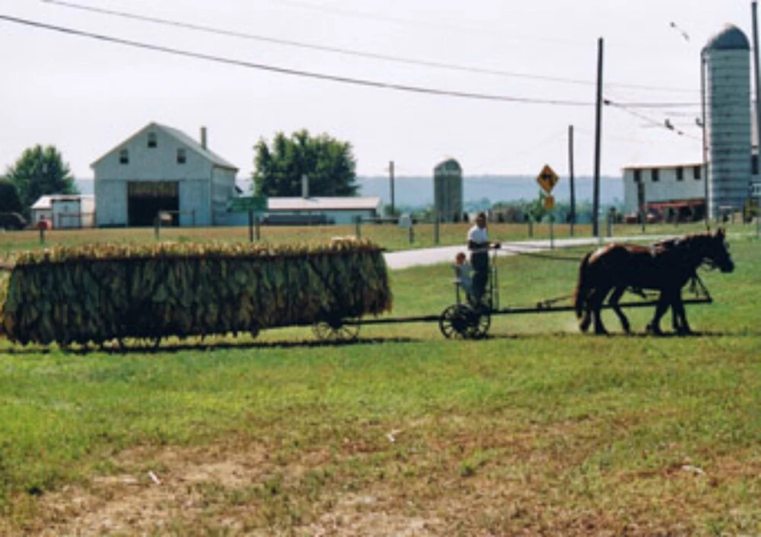 A Suite Escape Bed & Breakfast and Vacation Home