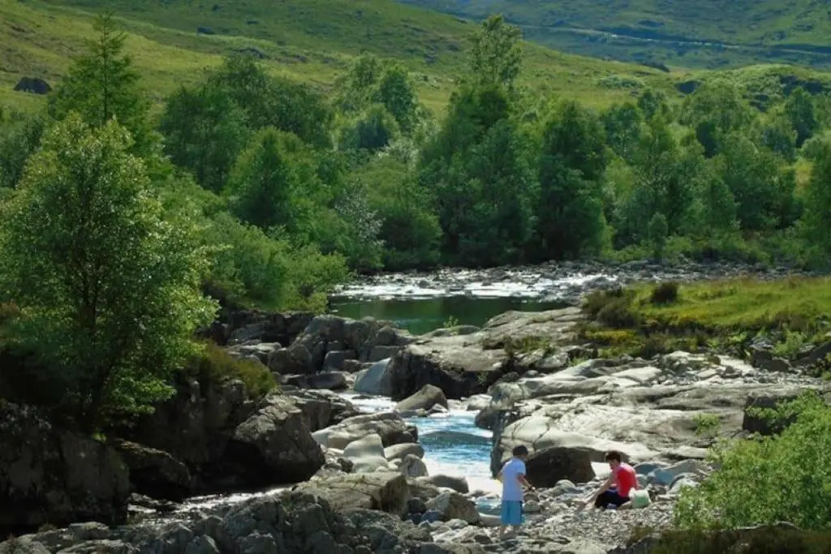 Roe Deer Cottage near Glencoe