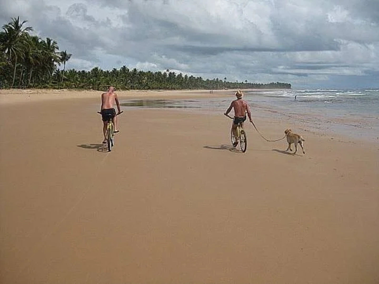 Pousada Bambu Dourado