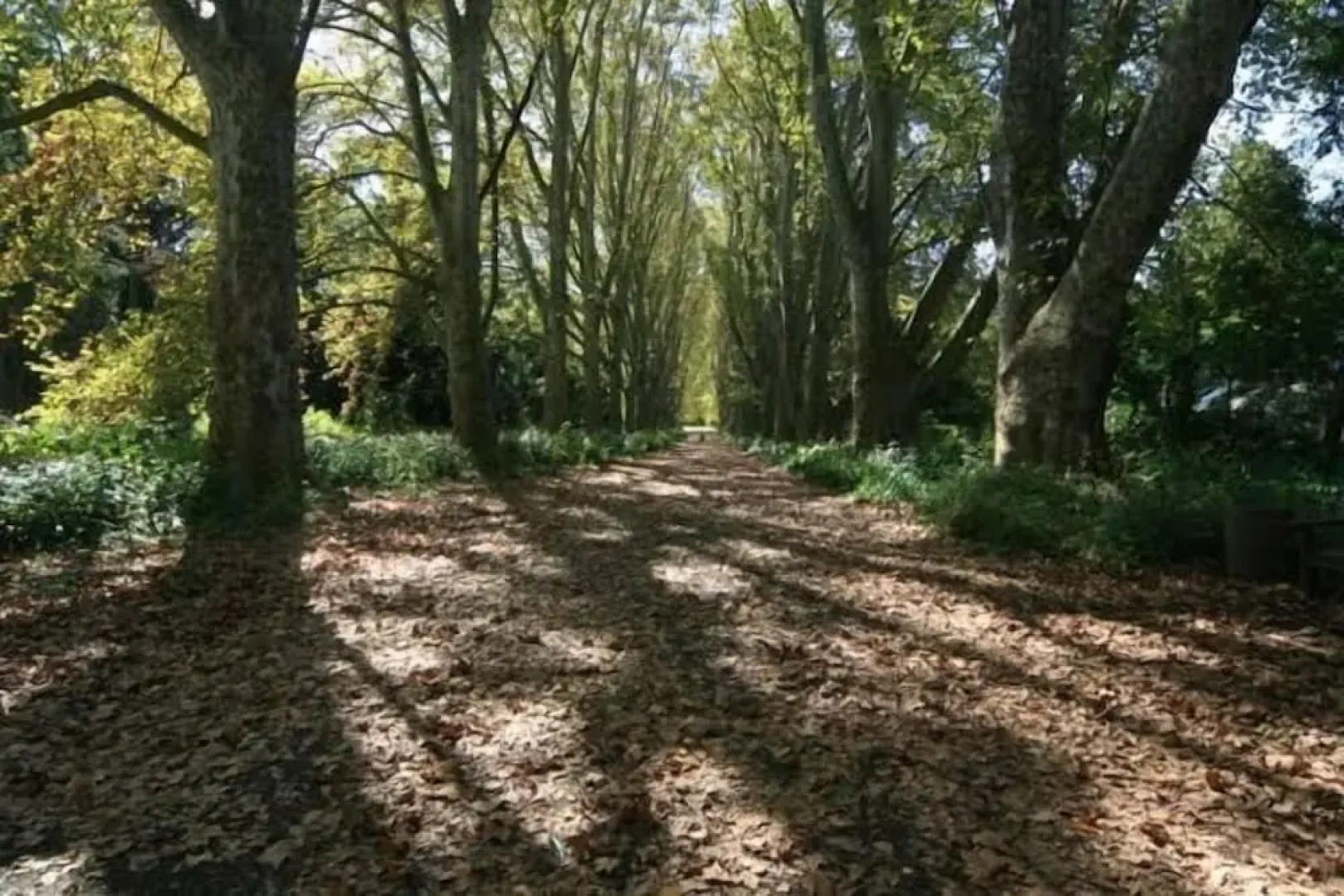 The Sleeping Bao B&B