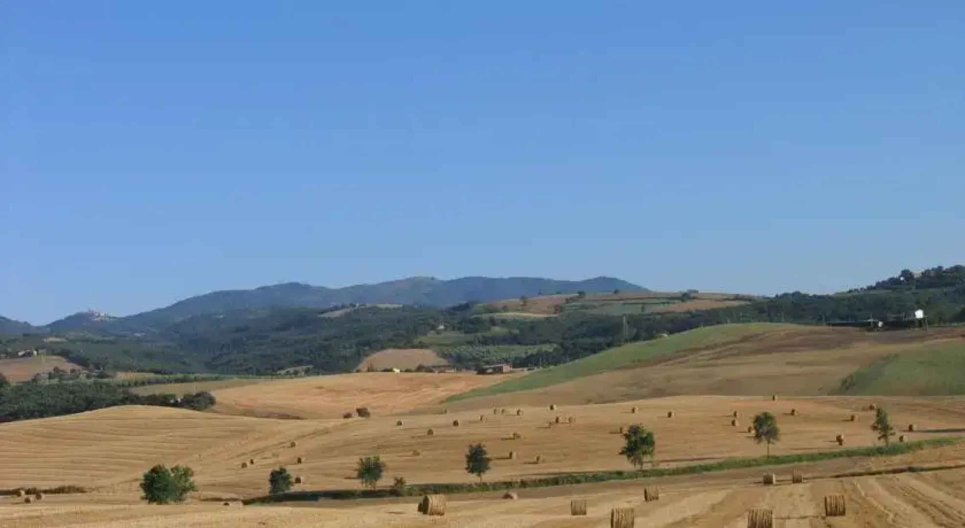 Podere Bellumori