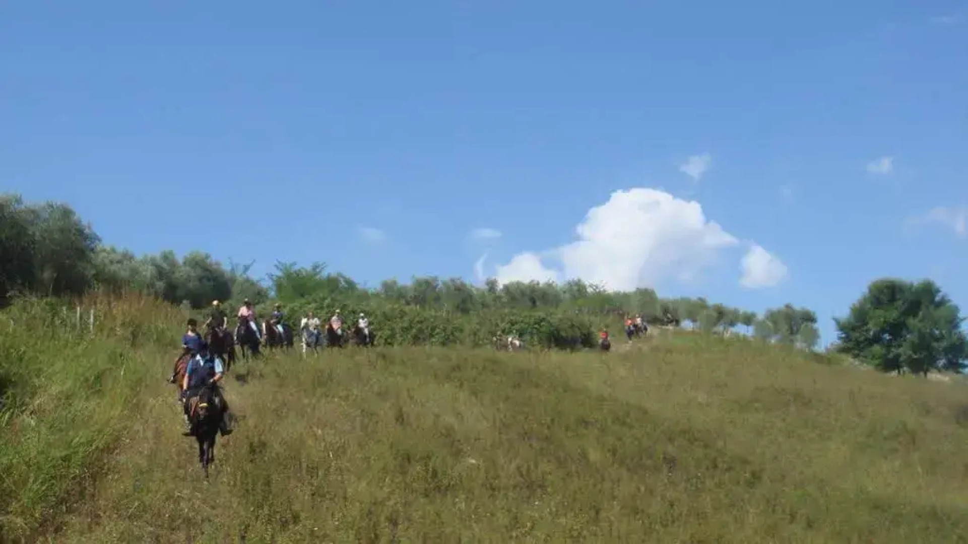 Azienda Agrituristica Masseria I Risi