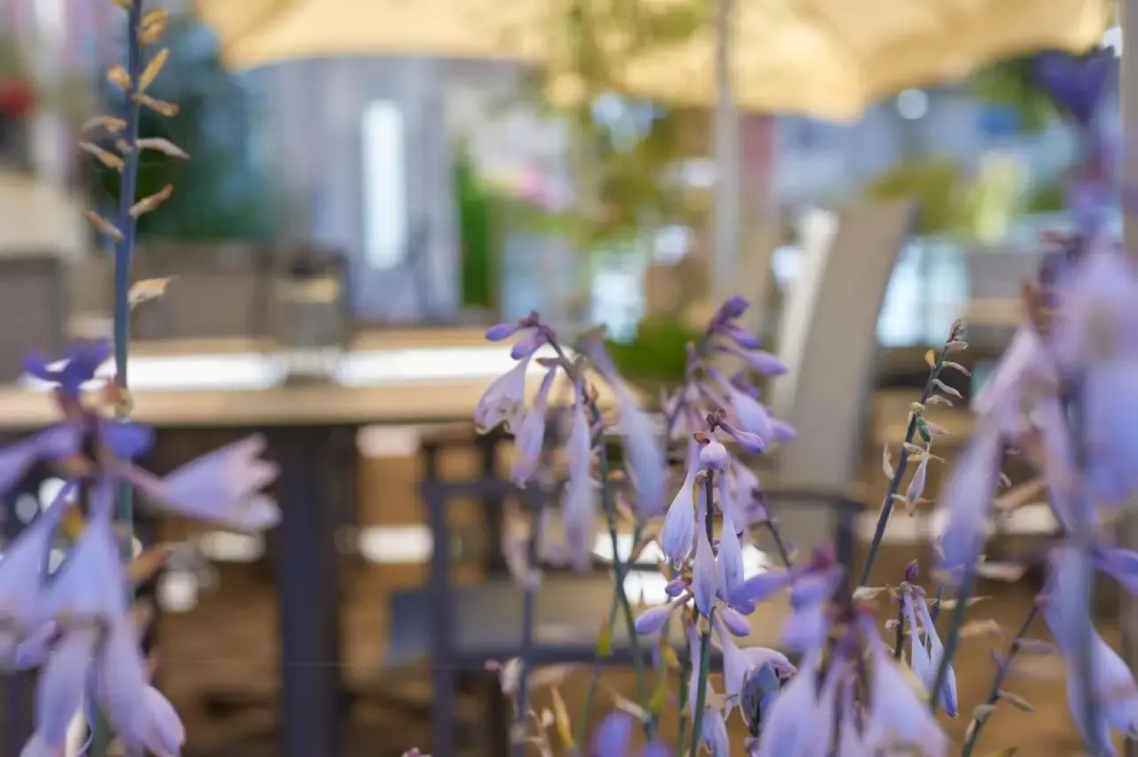 Hotel Restaurant Lindenhof