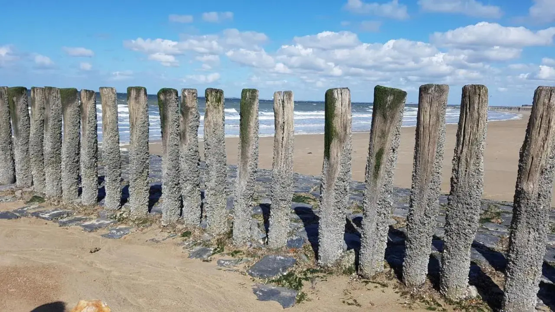 Want Logies: Ruime Loft