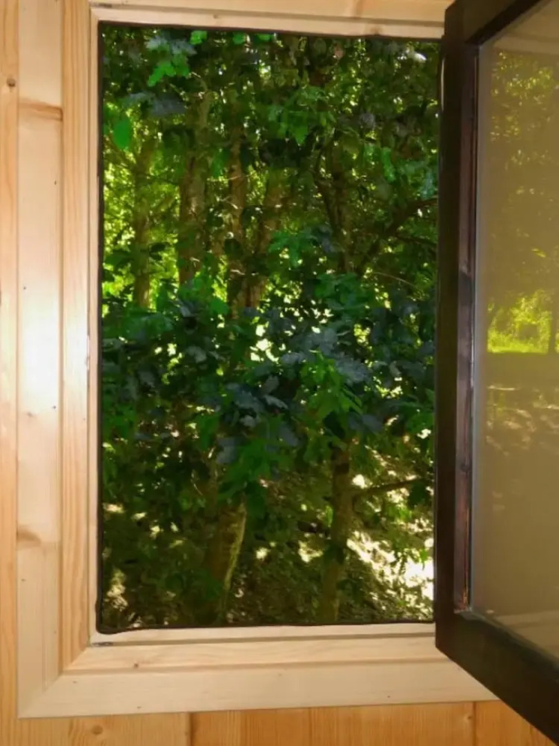 Tree Pool Villa in Arcos de Valdevez