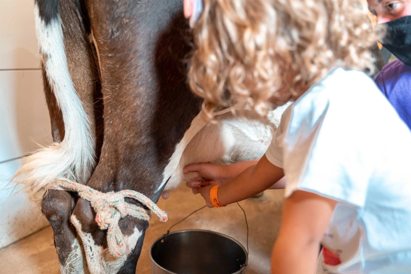 Hotel Fazenda Santa Barbara