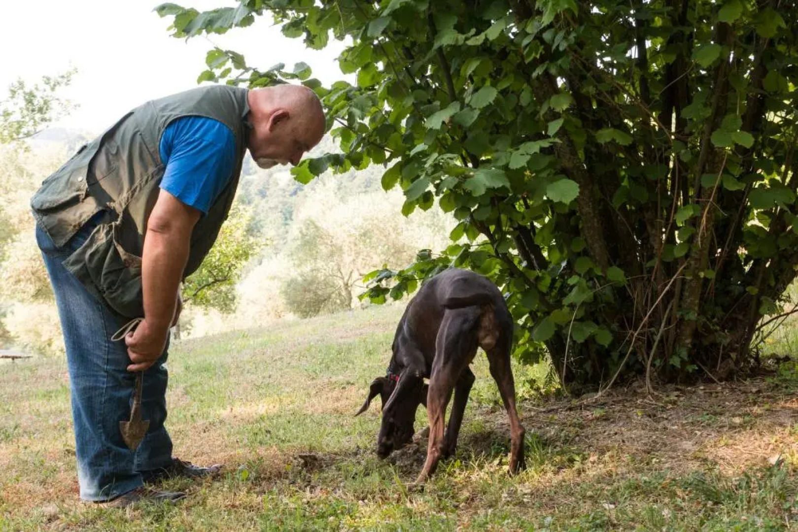 Castello Di Petroia Relais