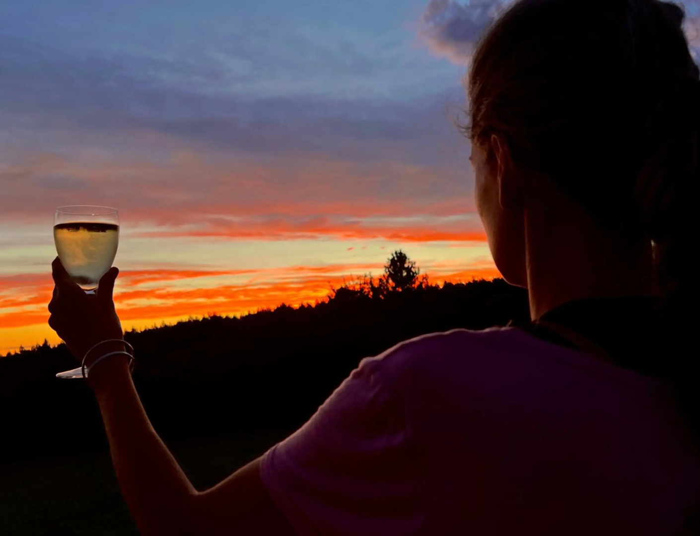 Greenhill Farm Manor House Plettenberg Bay - Private House Sleeps 8