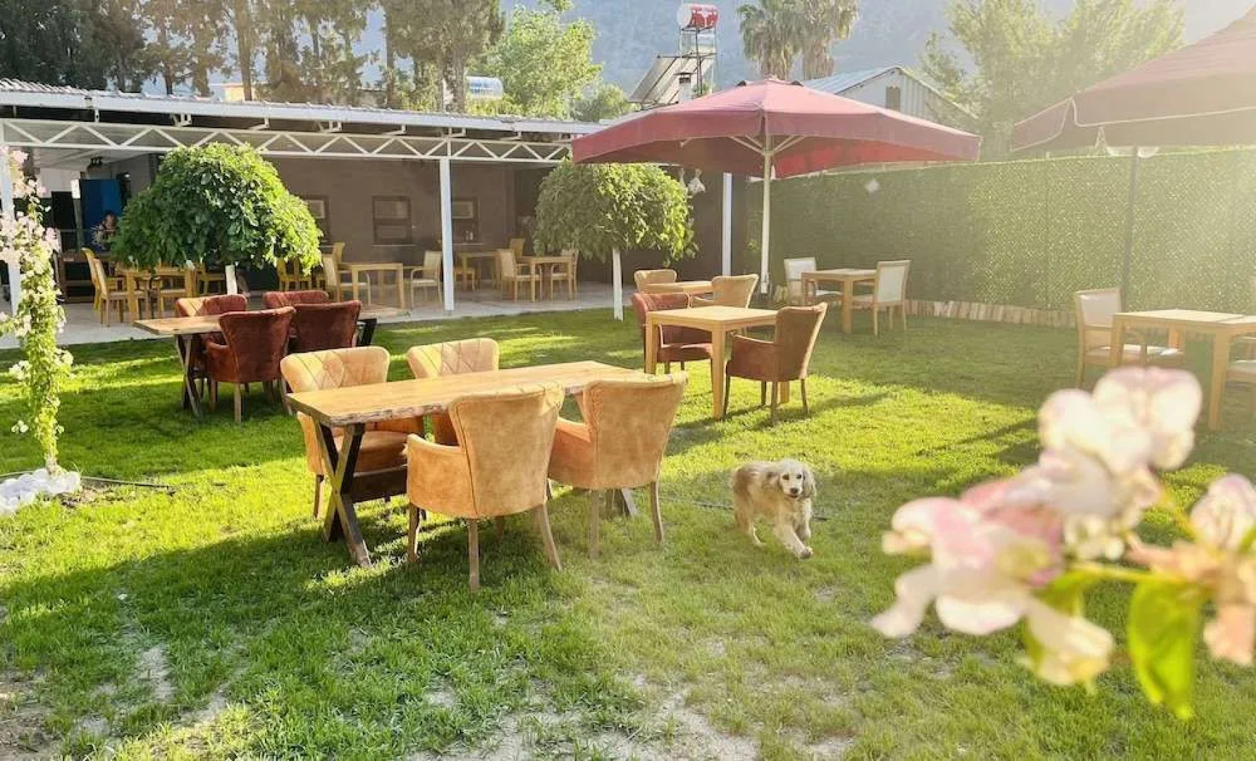 Akar Palace Resort Hotel