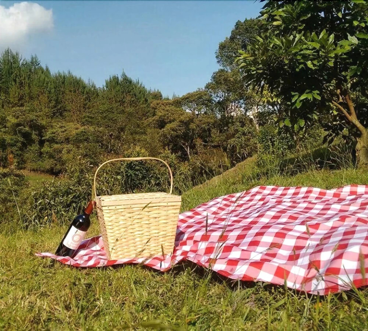 La Madriguera del Zorro