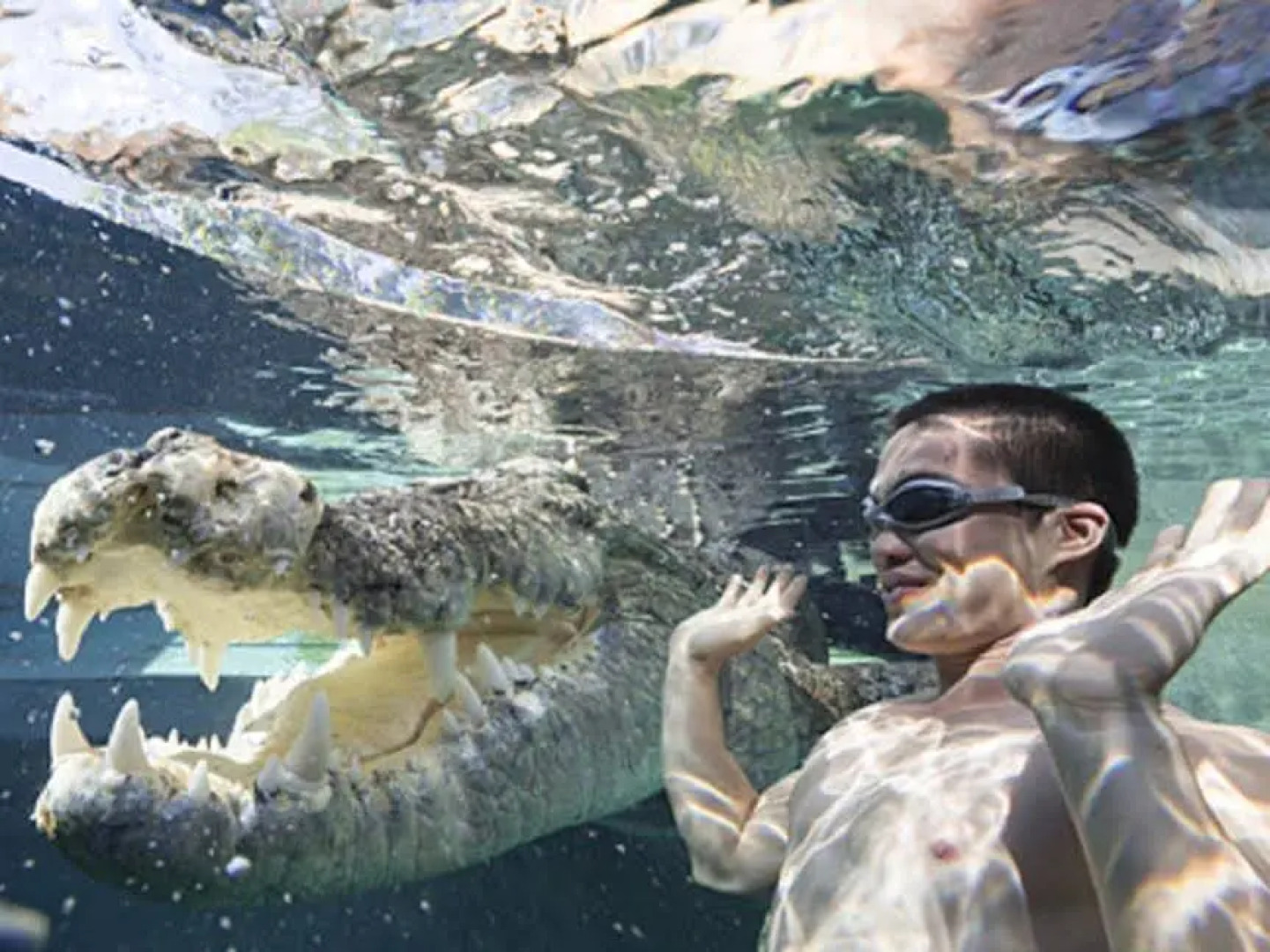 Darwin Waterfront Wharf Escape Holiday Apartments