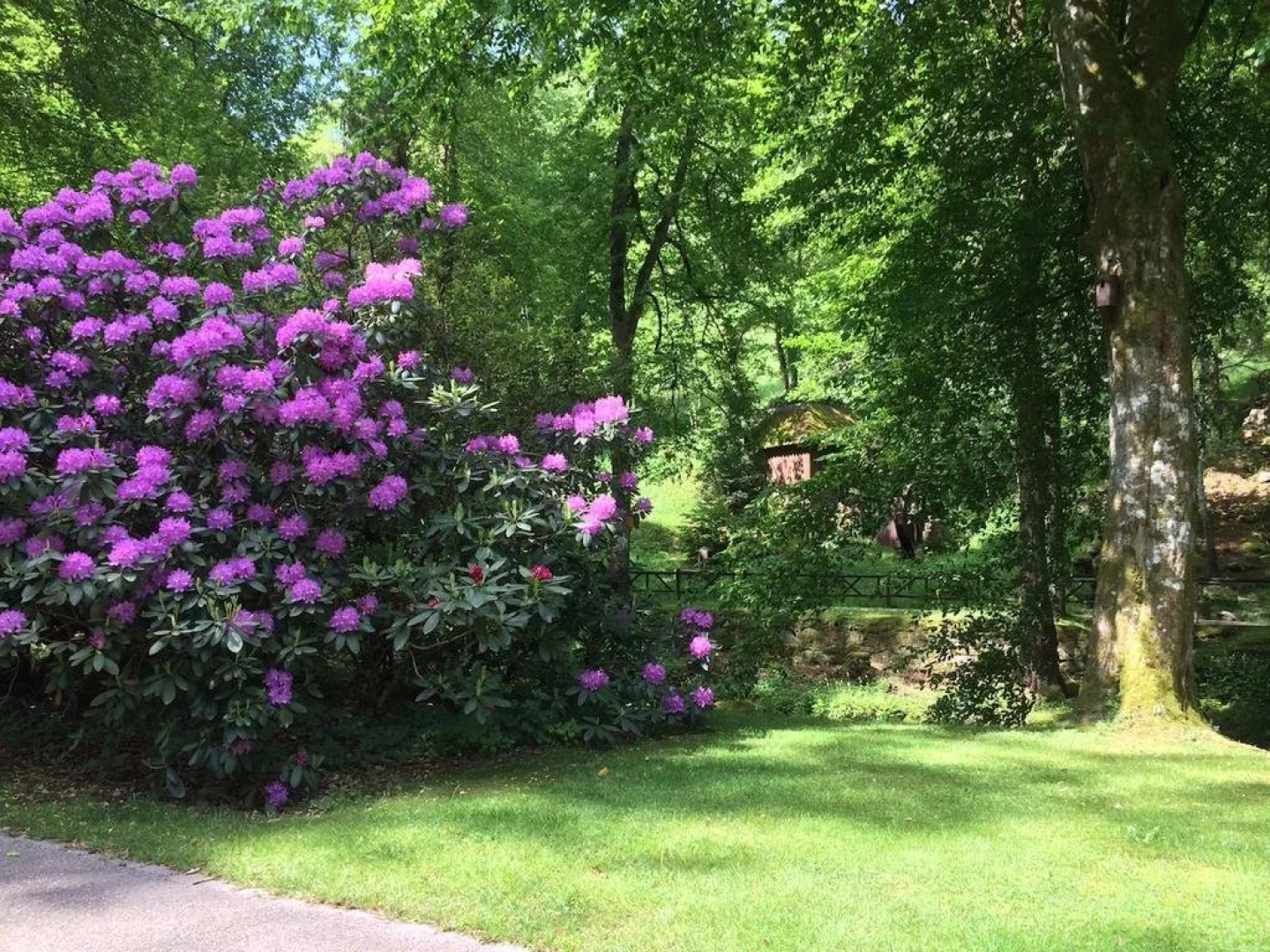 Pension Thilo