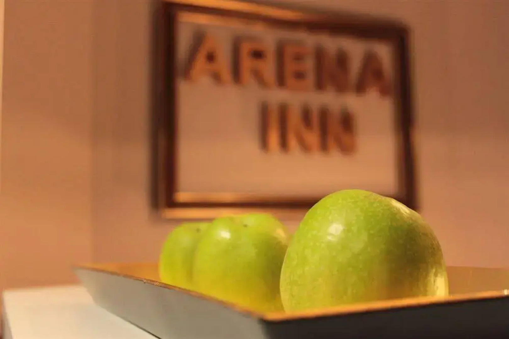 Hotel Arena Inn