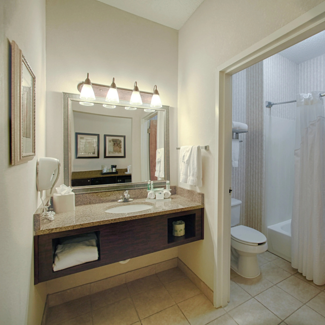 Holiday Inn Express & Suites Atlanta - Emory University Area