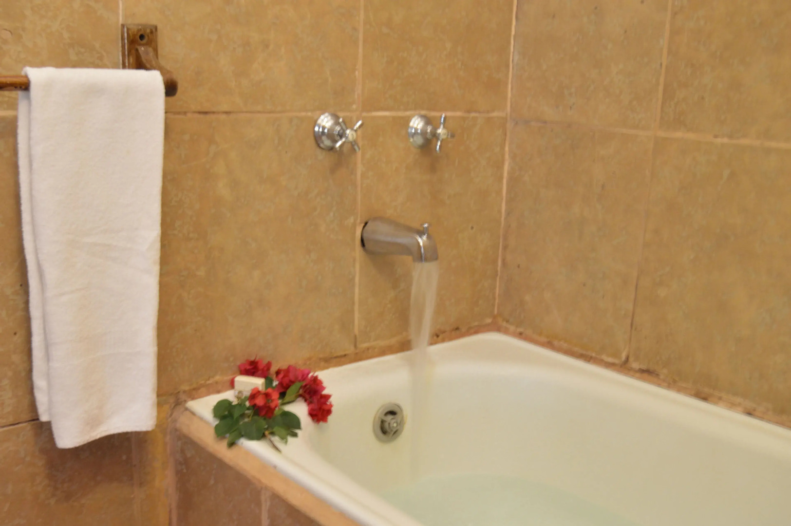 Hacienda San Francisco