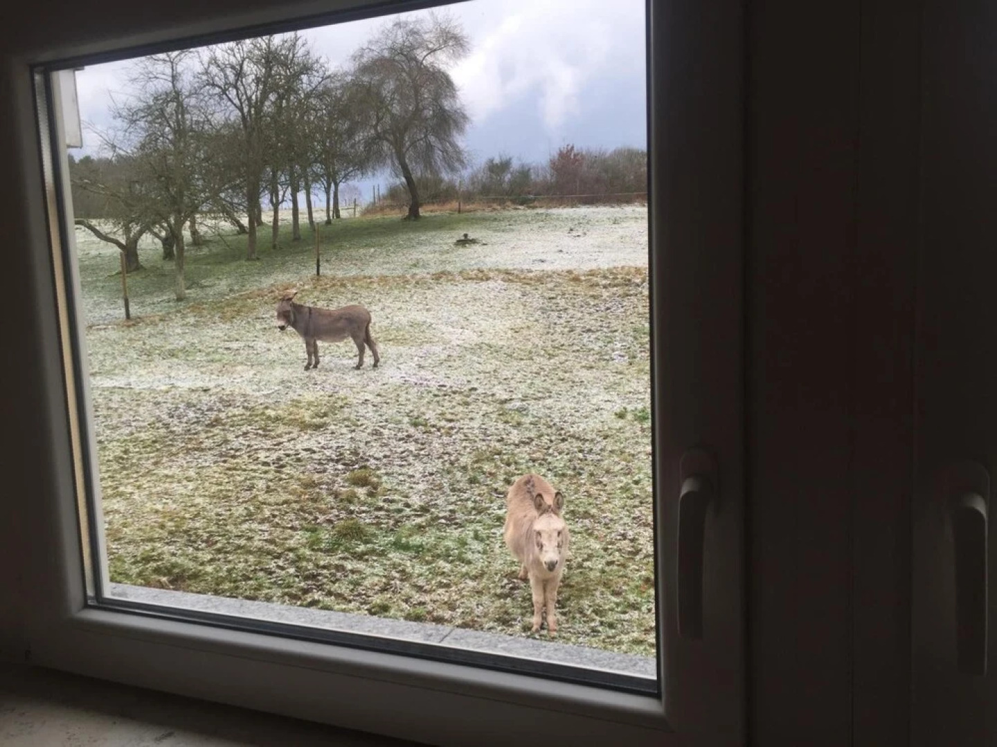 AhrHotel Am Rossberg