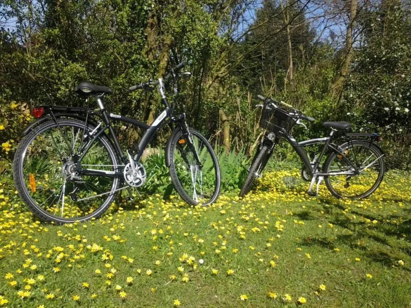 Le Clos du Mont Jarry