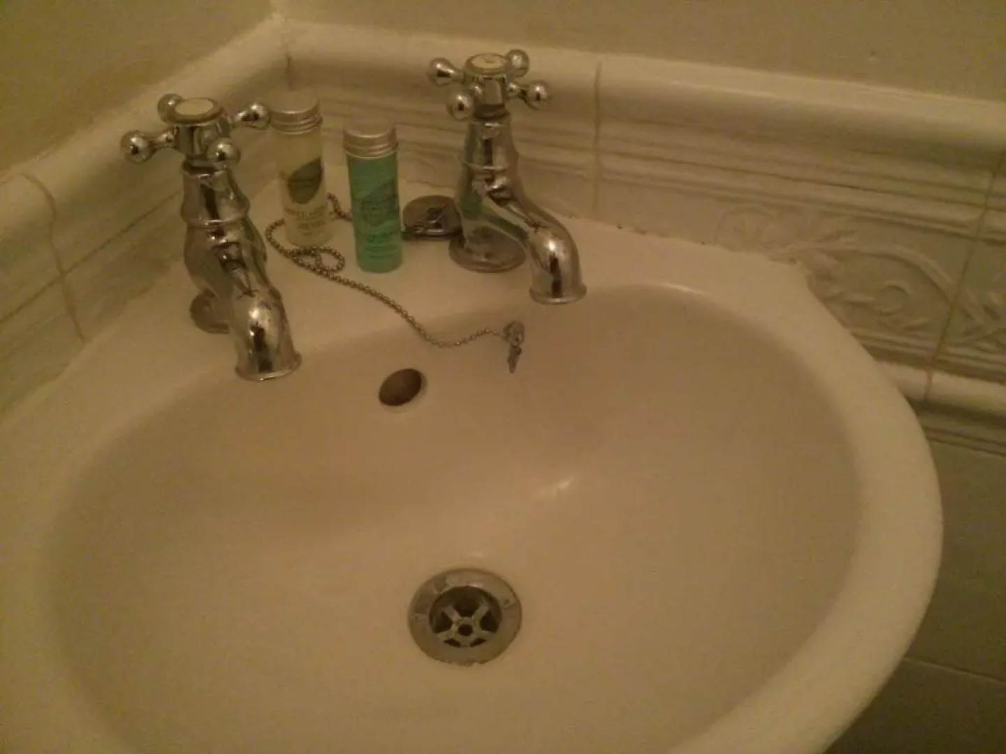 The Geese and Fountain